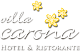 Hotel Villa Carona